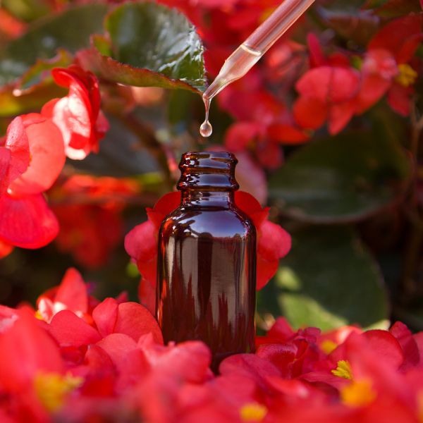 Terapia floral
