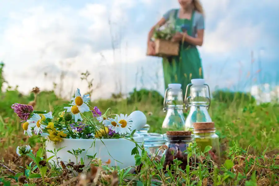 Consulta de naturopatía en Zaragoza con enfoque natural y personalizado. Mujer recogiendo hierbas medicinales en el campo.